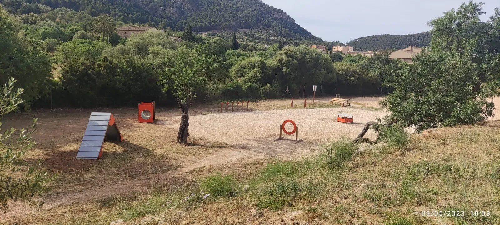 Circuito de Agility con obstáculos naranjas y rampas en un parque
