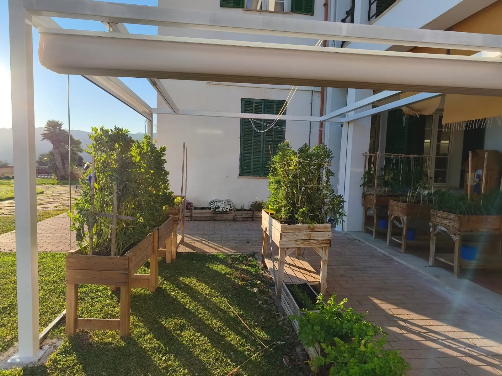 Pérgola blanca con toldo retráctil sobre un patio escolar con huerto