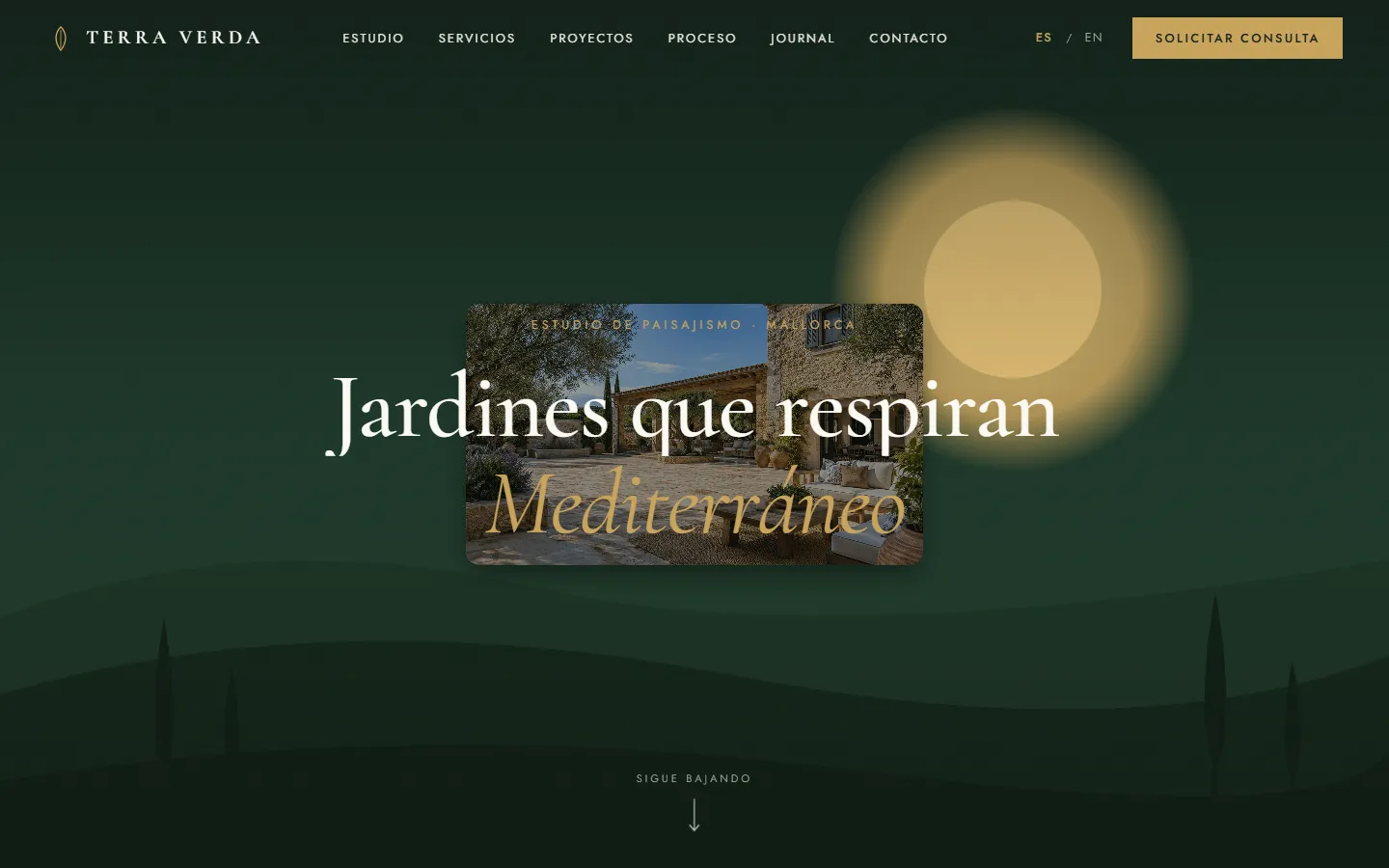 Home page of the Terra Verda website on a desktop.